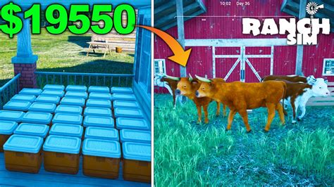 Buy Cow And Bull From 19k Ranch Simulator Ep20 Youtube