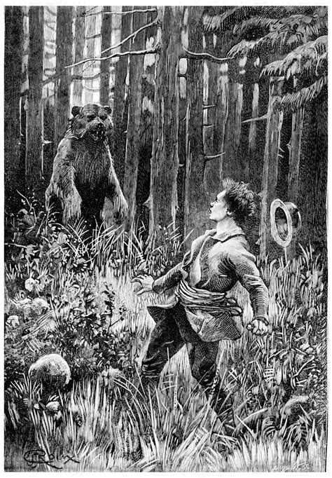 At Twenty Paces Stood A Huge Bear Vintage Engraving Stock