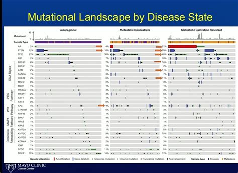 Genetic Testing And Next Generation Dna Sequencing