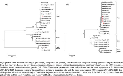 Mem Rias Do Instituto Oswaldo Cruz Phylogenetic Analyses Of