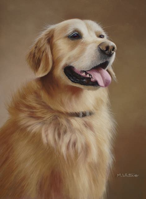 Mark Whittaker Pet Portrait And Wildlife Artist Original Pastel Painting