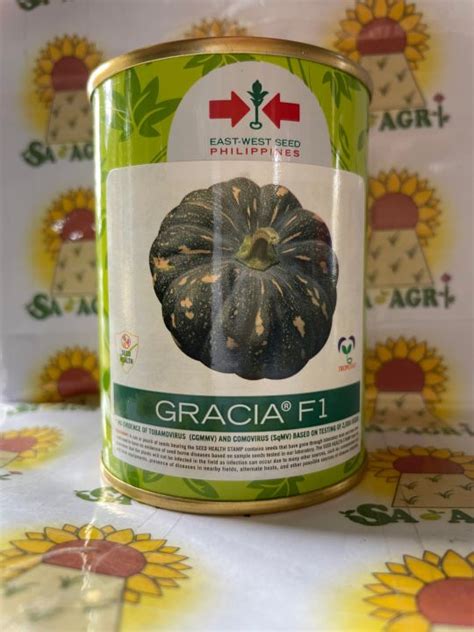 Gracia F1 Hybrid KALABASA 50 Grams By East West Seeds Lazada PH