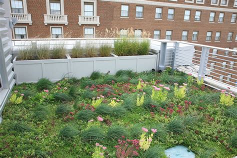 LiveRoof Brand Green Roofs 22 LiveRoof Brand Green Roof Systems