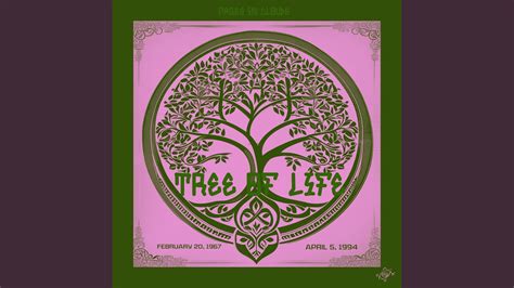 Tree Of Life Youtube