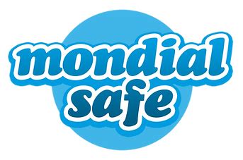 BALIZA LUMINOSA GEOLOCALIZADA V16 HOMOLOGADA POR LA DGT Mondial Safe