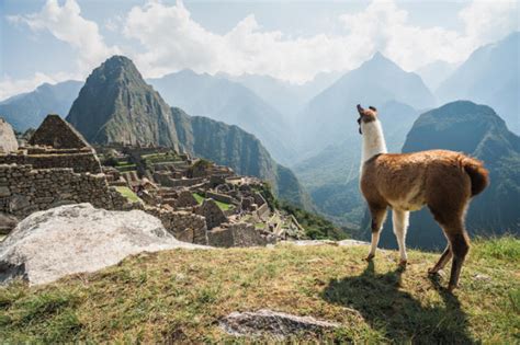 Machu Picchu Reopens Heres All You Need To Know Before Visiting