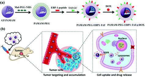 Nanoparticle Based Drug Delivery Systems Targeting Cancer Cell Surfaces