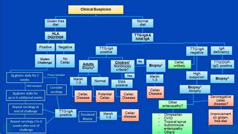 American College Of Gastroenterology Guidelines Update Diagnosis And