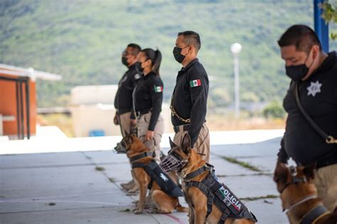 Realiza Polic A De El Marqu S Cambio De Juguetes B Licos Por Did Cticos