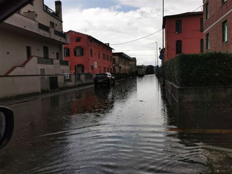 Strade Allagate E Alberi Pericolanti A Santa Croce Sull Arno