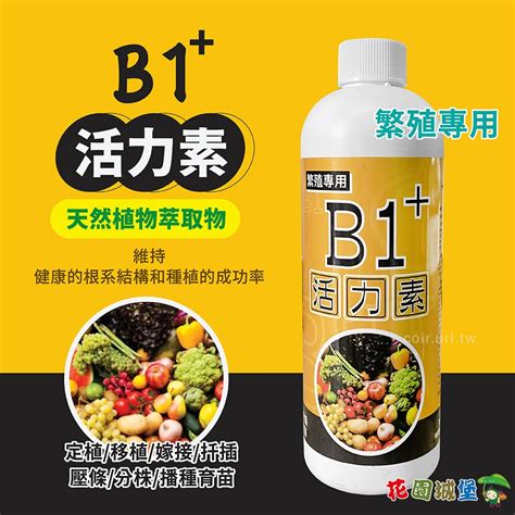 現貨 微綠b1活力素 開根劑 定植 移植 嫁接 扦插 壓條 分株 播種育苗 植物活力素 天然植物萃取物 花園城堡 蝦皮購物