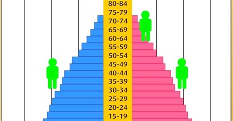 ACTIVIDADES ON LINE infantil y primaria PIRÁMIDE DE POBLACIÓN