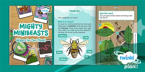 Science Biodiversity Minibeasts Mighty Minibeasts Ebook Year