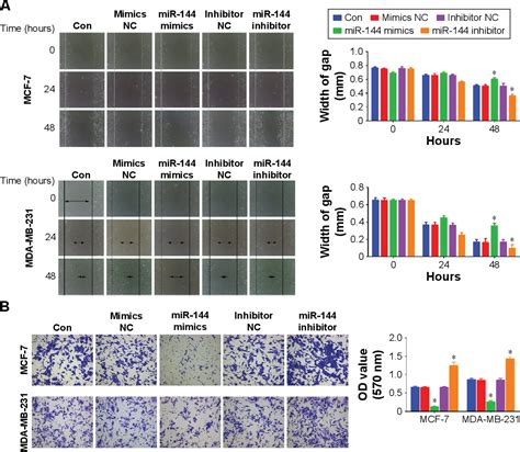 Figure From Mir Functions As A Tumor Suppressor In Breast Cancer