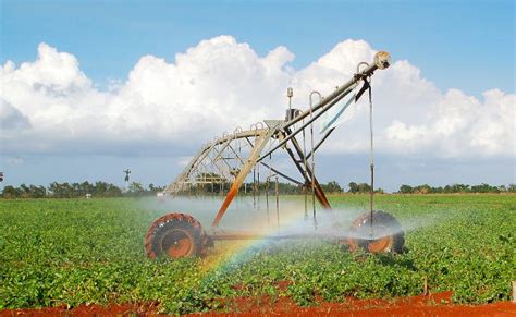 Agricultura De Secano