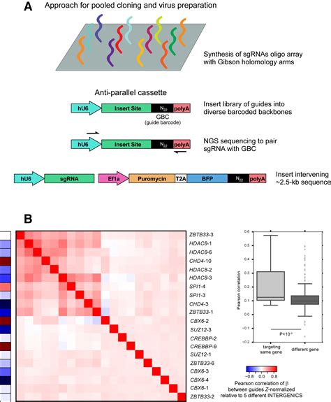 Perturb Seq Dissecting Molecular Circuits With Scalable Single Cell