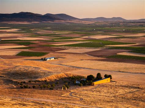 El Precio Medio De La Tierra Agrícola Sube 200 Euros Hectárea Con