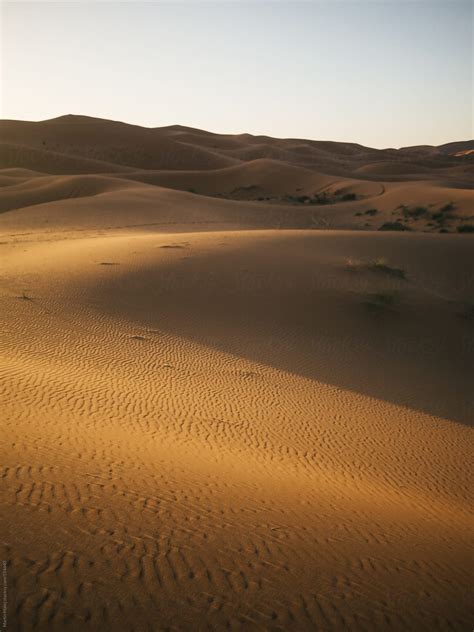 African Desert Dunes By Stocksy Contributor Martin Matej Stocksy