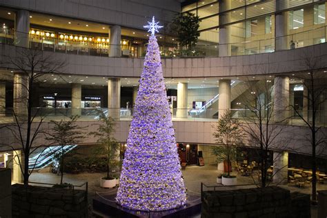 Christmas In Tokyo And Winter Illuminations