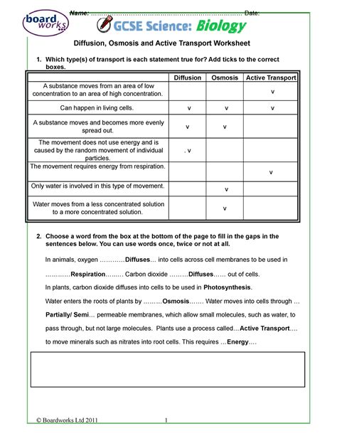 Diffusion Osmosis And Active Transport Worksheet F2020 Name Worksheets Library