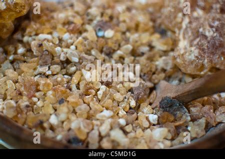 Resin of Somalia or Arabic frankincense, Boswellia sacra Stock Photo ...