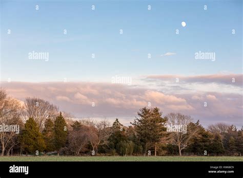 Full moon landscape trees hi-res stock photography and images - Alamy