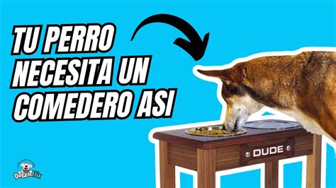 BENEFICIOS DE LOS COMEDEROS ALTOS PARA PERROS YouTube