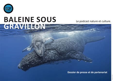 Dossier De Presse Baleine Sous Gravillon