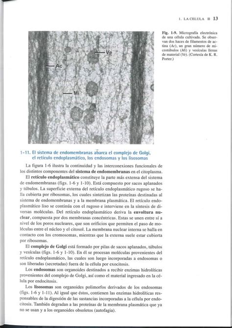 Biologia Celular Y Molecular De Robertis 16 Ed Primera Parte Pdf