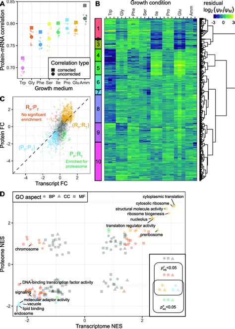 Comparison Of Proteome And Transcriptome A Raw Pairwise Correlations