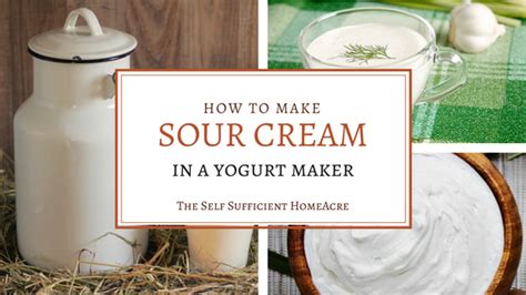 How To Make Sour Cream In A Yogurt Maker The Self Sufficient Homeacre In 2024 Make Sour