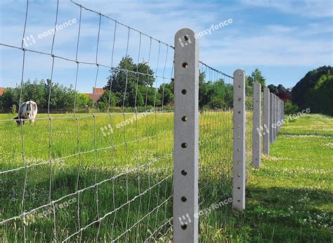 Cl Tures En Treillis Easyfence