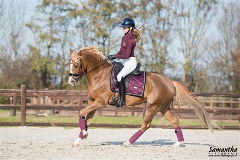 Paarden On Twitter Elin Buijs Internationaal Rijden Is Mijn