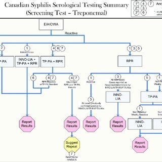 PDF Laboratory Diagnosis Of Syphilis A Survey To Examine The Range