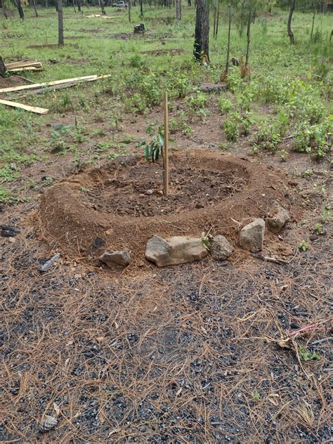 En Cateo Asegura Fge Predio Relacionado En Delitos Contra El Ambiente