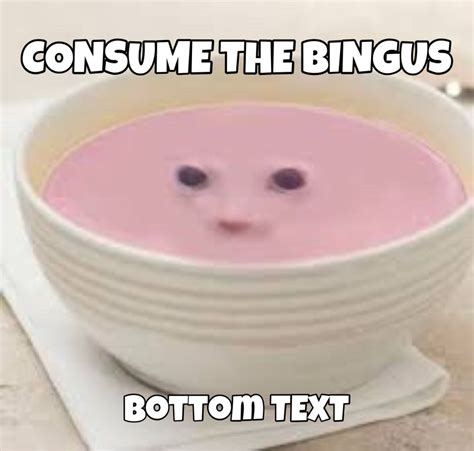 BINGUS BINGUS BINGUS Wholesome Memes Snapchat Funny Memes