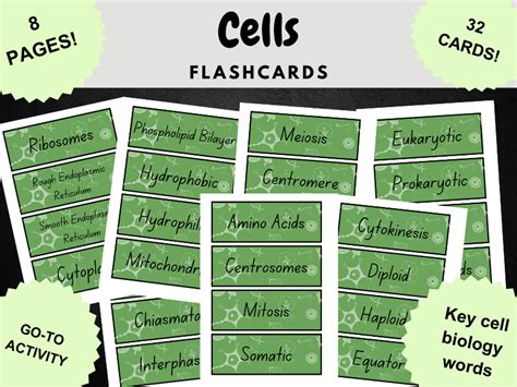 Cell Biology Flashcards Teaching Resources