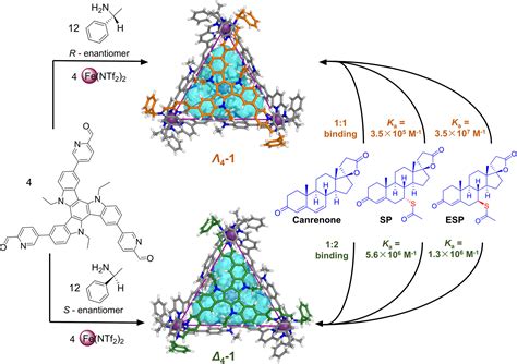 Mimicking Natures Stereoselectivity Through Coordination Cages Chem