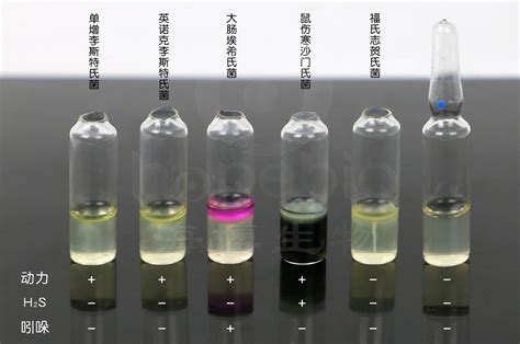 Sim生化管 产品详情 青岛海博生物