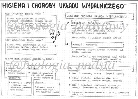 Klasa Higiena I Choroby Uk Adu Wydalniczego Sketchnotka Z Oty