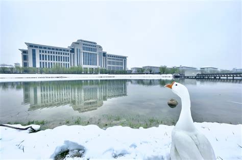 入选“冲一流”，启用新校区。华北水利水电大学2021年录取详情！腾讯新闻