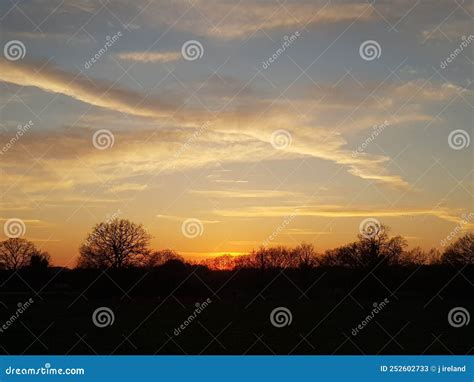 Orange Sunset with Silhouette Trees Stock Image - Image of plain, cloud ...