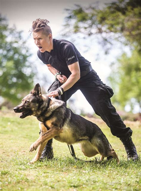 Photo Special Meet Police Dog Heroes