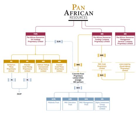 Organisational Structure Pan African Resources