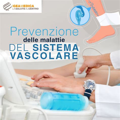 La Prevenzione Delle Malattie Del Sistema Vascolare