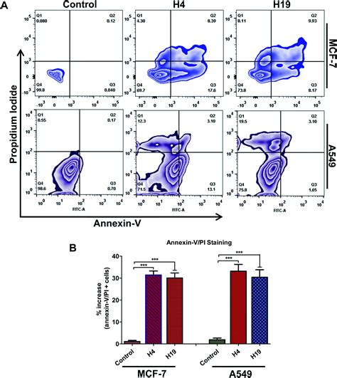 Discovery Of 4 2 Dimethylamino Ethoxy Benzohydrazide Derivatives As Prospective Microtubule