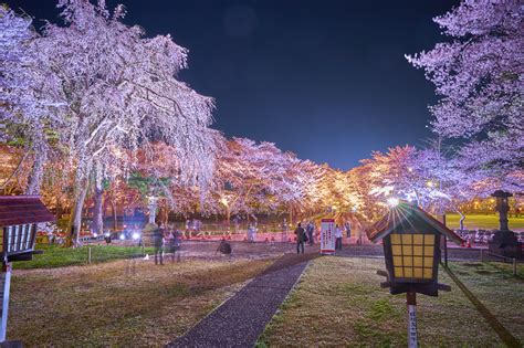 幻想的な桜の絶景を楽しむ！今年訪れたい「日本三大夜桜」 Tripaトリパ｜旅のプロがお届けする旅行に役立つ情報