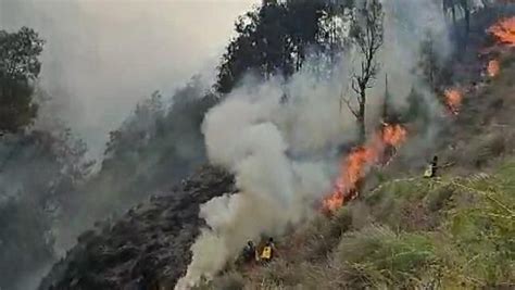 Kebakaran Bromo Calon Pengantin Minta Maaf Kejadian Tidak Sengaja