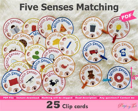 Five Senses Match And Clip Activity Printable 5 Senses Etsy