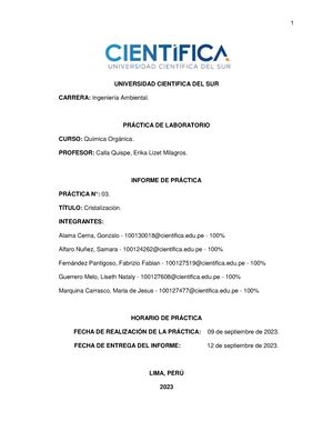 Gu A De Laboratorio Qu Mica Org Nica Ii Manual De Pr Ctica M A